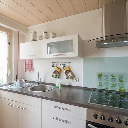 Luxurious Holiday In Rieder Harz With Sauna Ballenstedt